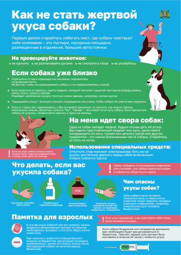 Риск травмирования в результате укуса собак Риск травмирования в результате укуса собак.